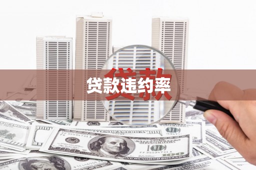 沙田贷款违约率