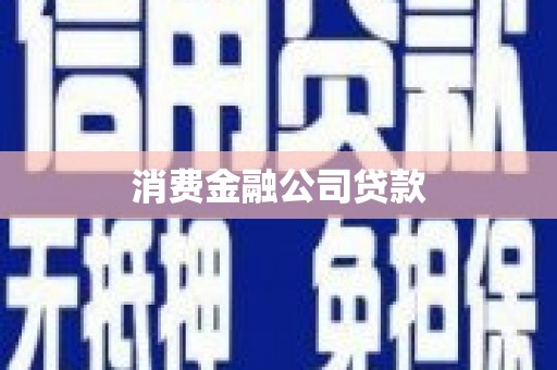 沙田消费金融公司贷款