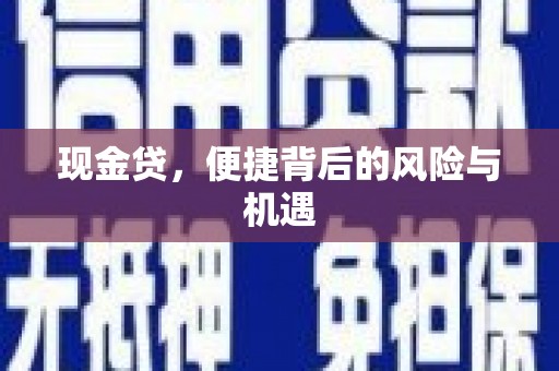 沙田现金贷，便捷背后的风险与机遇