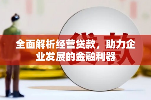 沙田全面解析经营贷款，助力企业发展的金融利器