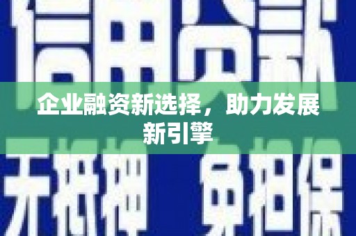 沙田企业融资新选择，助力发展新引擎