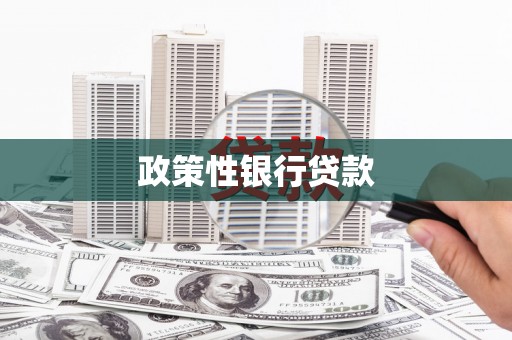 沙田政策性银行贷款