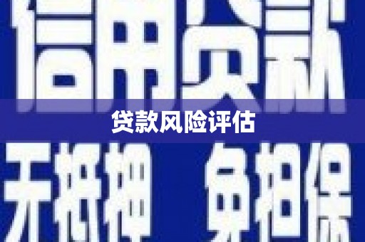 沙田贷款风险评估