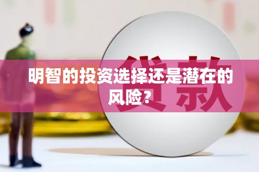 沙田明智的投资选择还是潜在的风险？