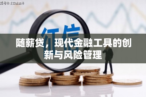 沙田随薪贷，现代金融工具的创新与风险管理