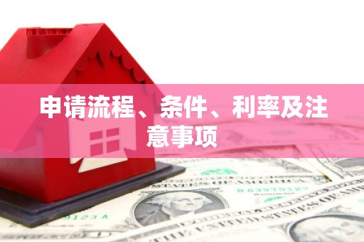 沙田申请流程、条件、利率及注意事项