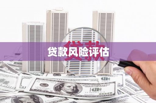 沙田贷款风险评估