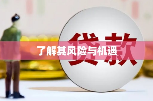 沙田了解其风险与机遇