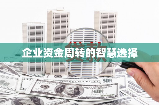 沙田企业资金周转的智慧选择
