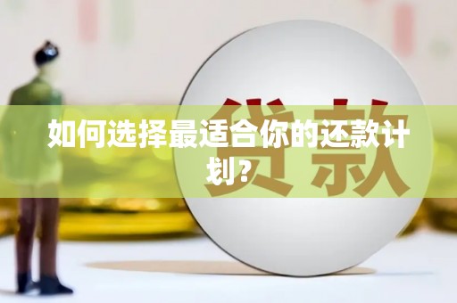 沙田如何选择最适合你的还款计划？