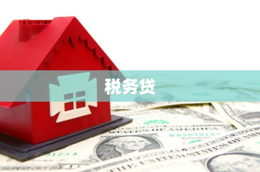 沙田税务贷