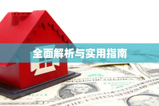 沙田全面解析与实用指南