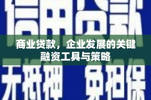 沙田商业贷款，企业发展的关键融资工具与策略