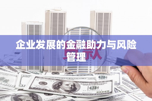 沙田企业发展的金融助力与风险管理