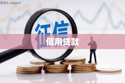 沙田信用贷款