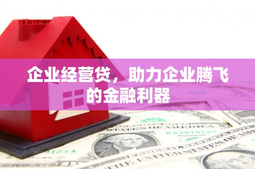 沙田企业经营贷，助力企业腾飞的金融利器