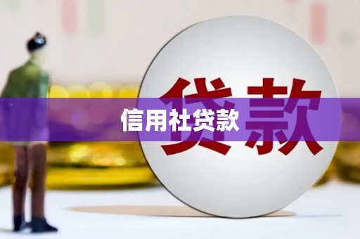 沙田信用社贷款