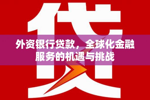 沙田外资银行贷款，全球化金融服务的机遇与挑战
