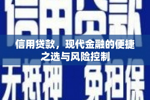 沙田信用贷款，现代金融的便捷之选与风险控制