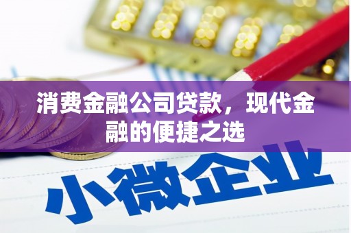 沙田消费金融公司贷款，现代金融的便捷之选