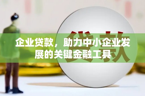沙田企业贷款，助力中小企业发展的关键金融工具