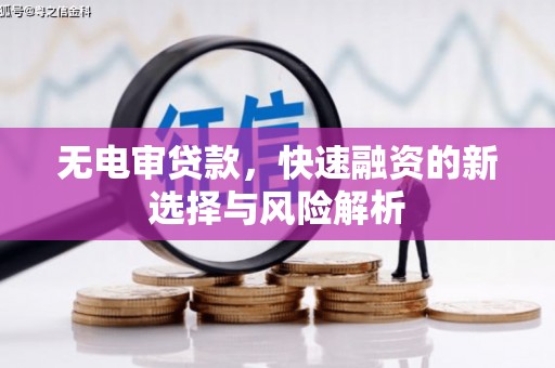 沙田无电审贷款，快速融资的新选择与风险解析