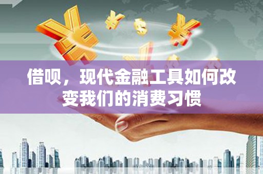 沙田借呗，现代金融工具如何改变我们的消费习惯