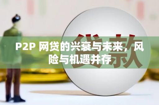 沙田P2P 网贷的兴衰与未来，风险与机遇并存