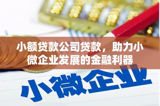 沙田小额贷款公司贷款，助力小微企业发展的金融利器