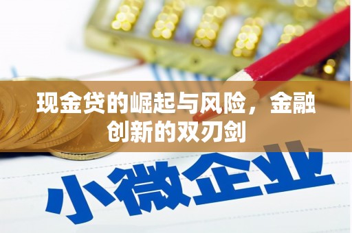 沙田现金贷的崛起与风险，金融创新的双刃剑