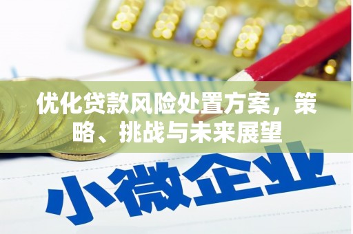 沙田优化贷款风险处置方案，策略、挑战与未来展望