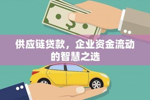 沙田供应链贷款，企业资金流动的智慧之选