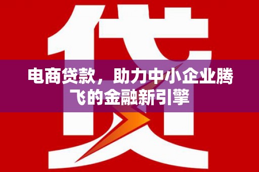 沙田电商贷款，助力中小企业腾飞的金融新引擎