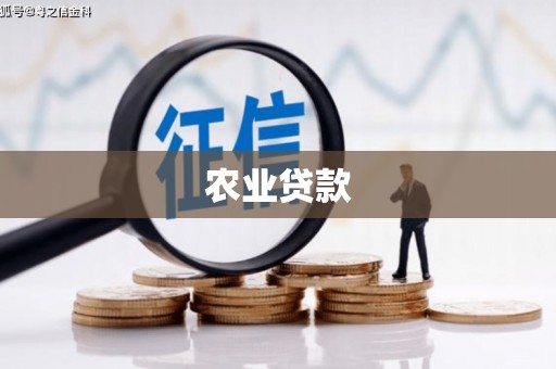 沙田农业贷款