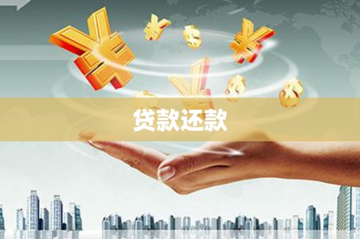 沙田贷款还款