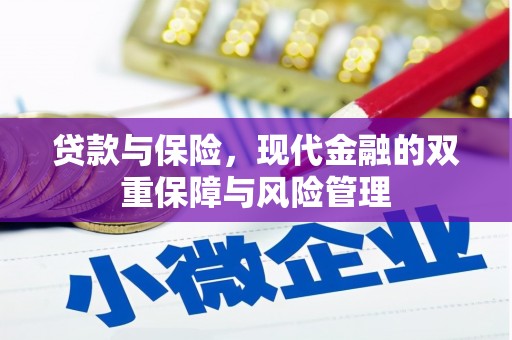 沙田贷款与保险，现代金融的双重保障与风险管理