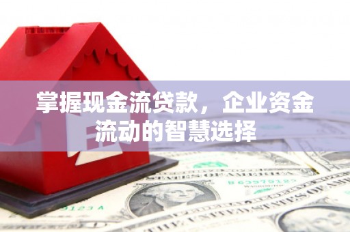沙田掌握现金流贷款，企业资金流动的智慧选择