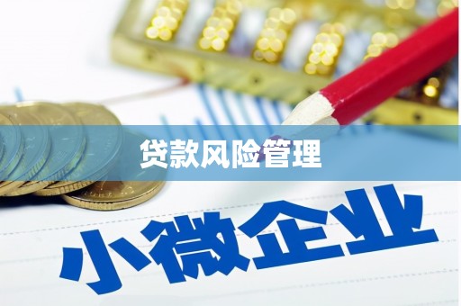 沙田贷款风险管理