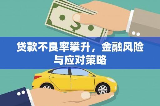 沙田贷款不良率攀升，金融风险与应对策略