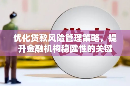 沙田优化贷款风险管理策略，提升金融机构稳健性的关键