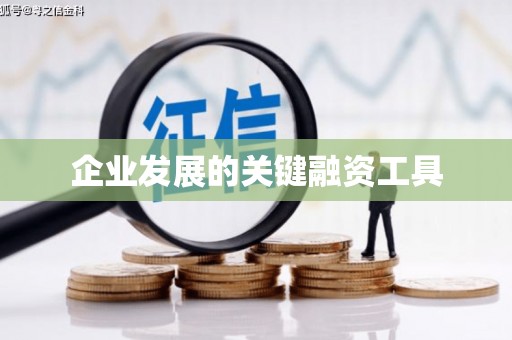 沙田企业发展的关键融资工具