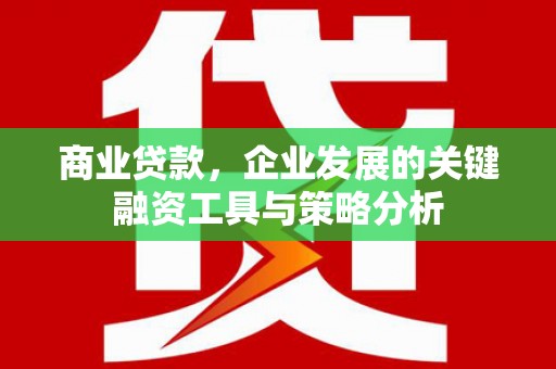 沙田商业贷款，企业发展的关键融资工具与策略分析