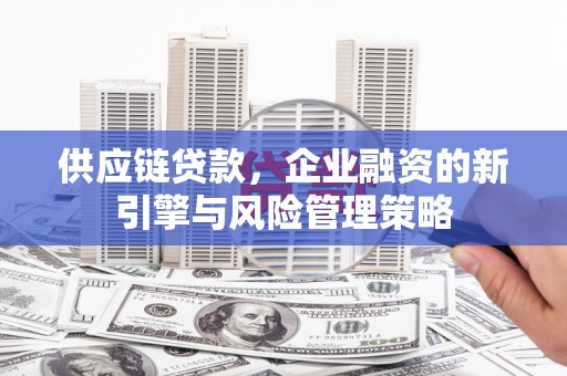 沙田供应链贷款，企业融资的新引擎与风险管理策略
