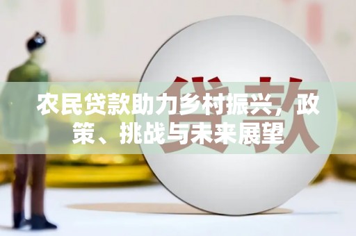 沙田农民贷款助力乡村振兴，政策、挑战与未来展望