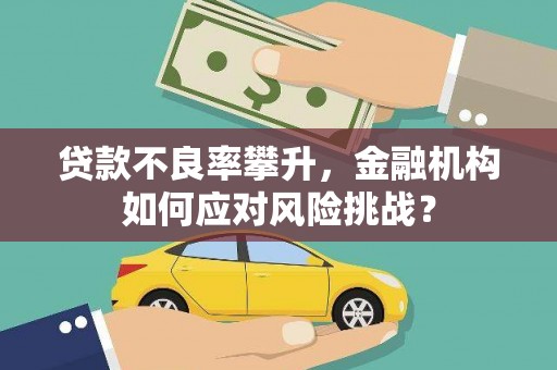 沙田贷款不良率攀升，金融机构如何应对风险挑战？