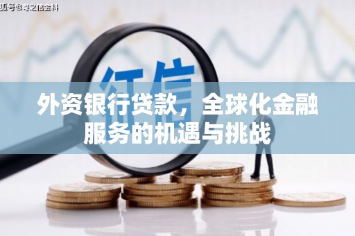 沙田外资银行贷款，全球化金融服务的机遇与挑战