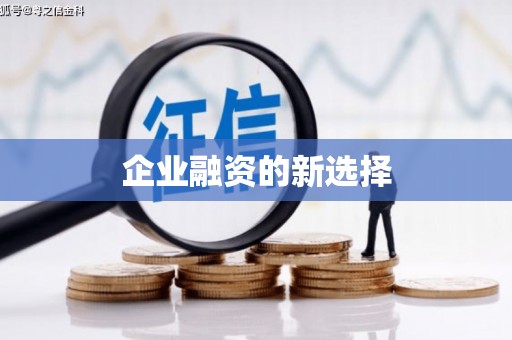 沙田企业融资的新选择