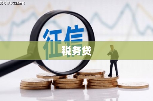 沙田税务贷