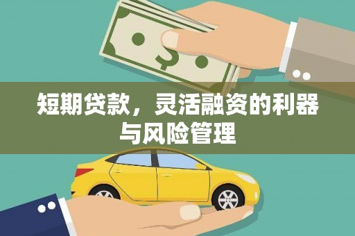 沙田短期贷款，灵活融资的利器与风险管理
