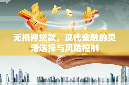 沙田无抵押贷款，现代金融的灵活选择与风险控制